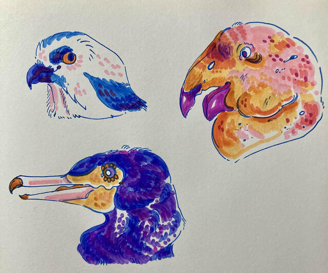 marker busts of an osprey, condor, and cormorant